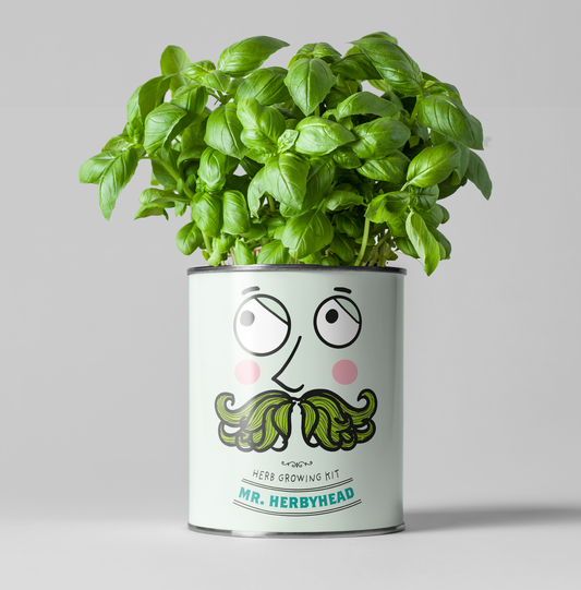 Mr. Herbyhead. Eco Grow Your Own Plant Kit, Gardening Gift.