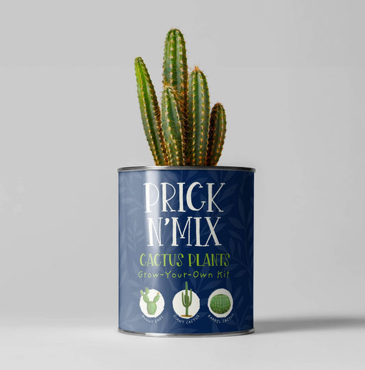 Prick n Mix. Eco Grow Your Own Cactus, Gardening Kit