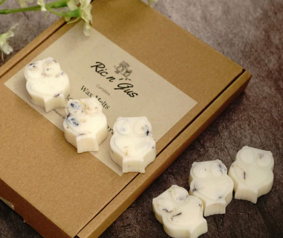 Starry Night - Scented Owl Wax Melts